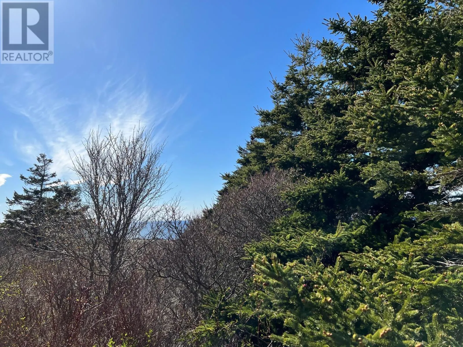 11838 Cabot Trail