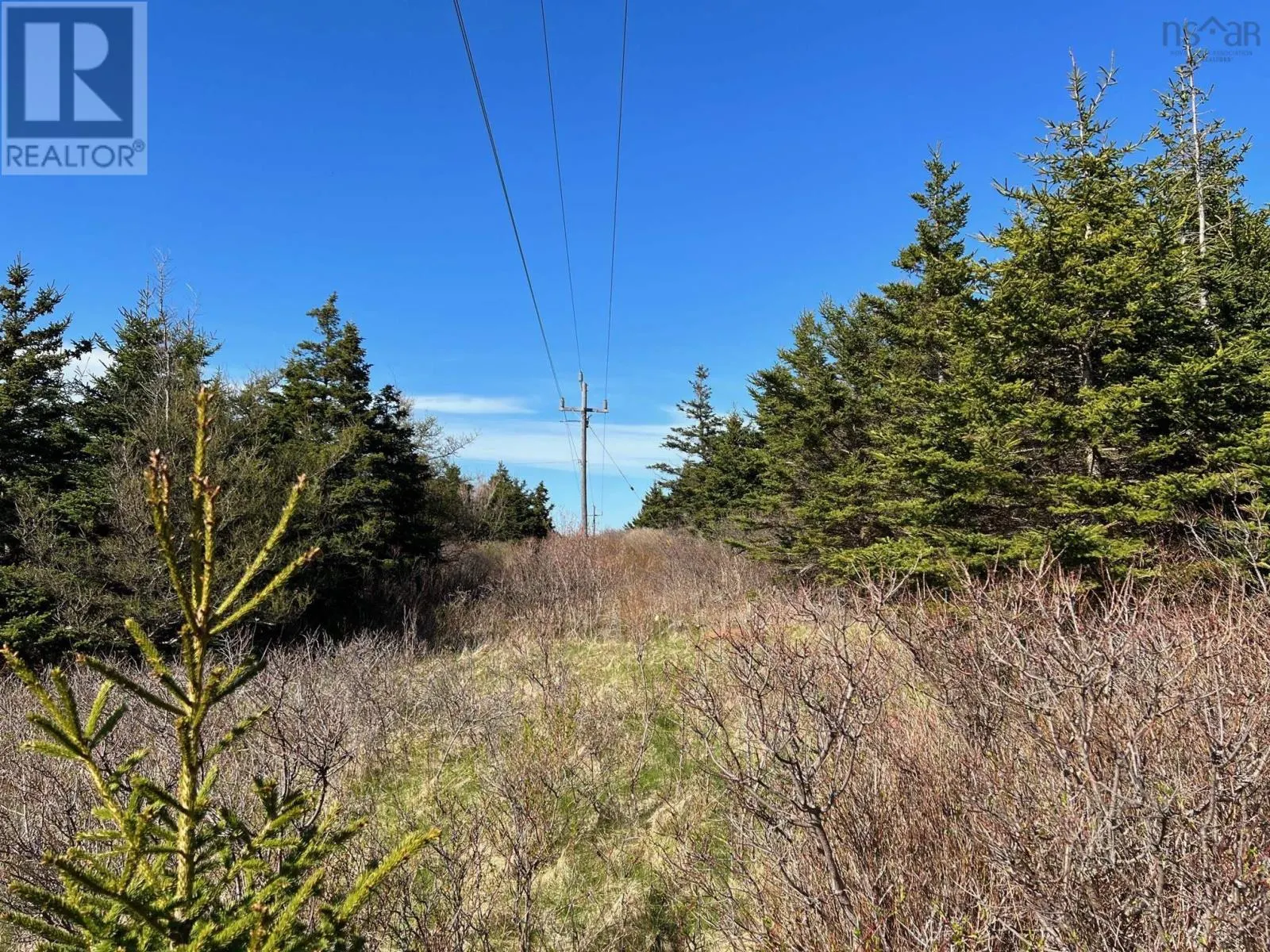 11838 Cabot Trail