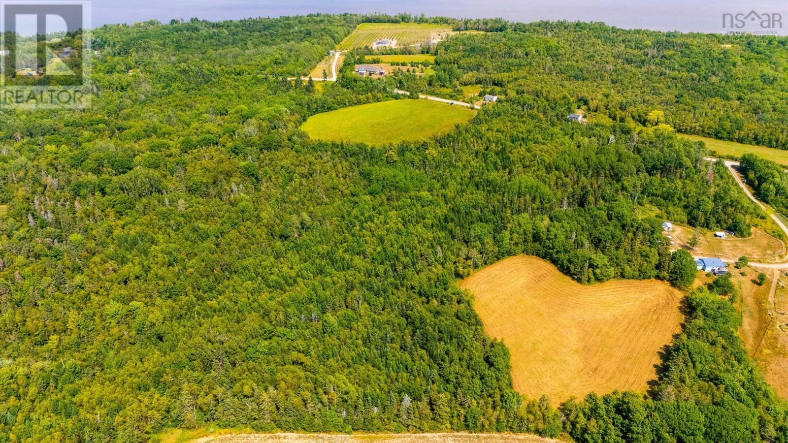 Lots Bluff Road