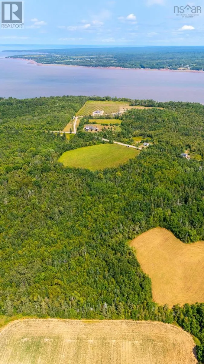 Lots Bluff Road