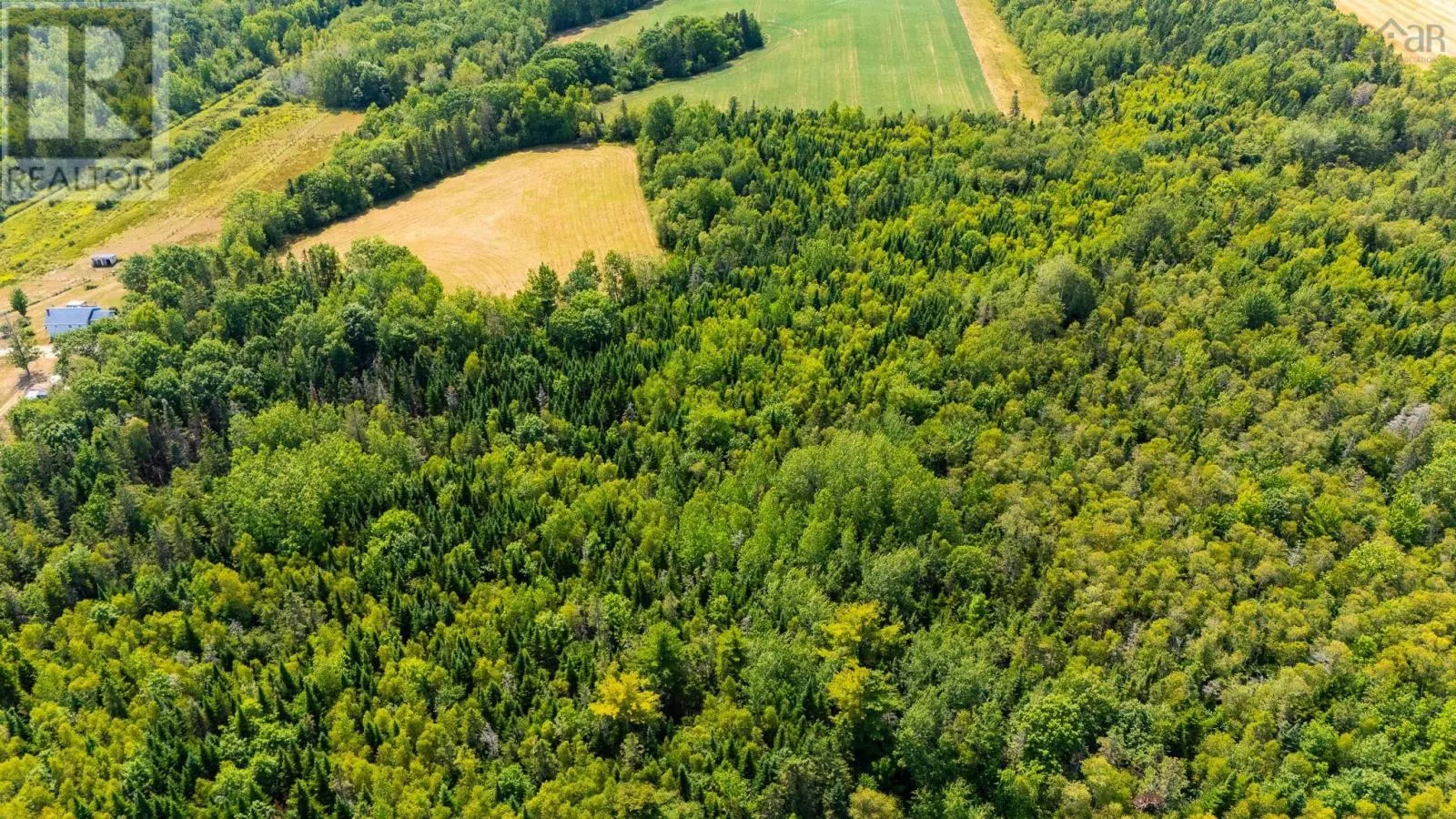 Lots Bluff Road