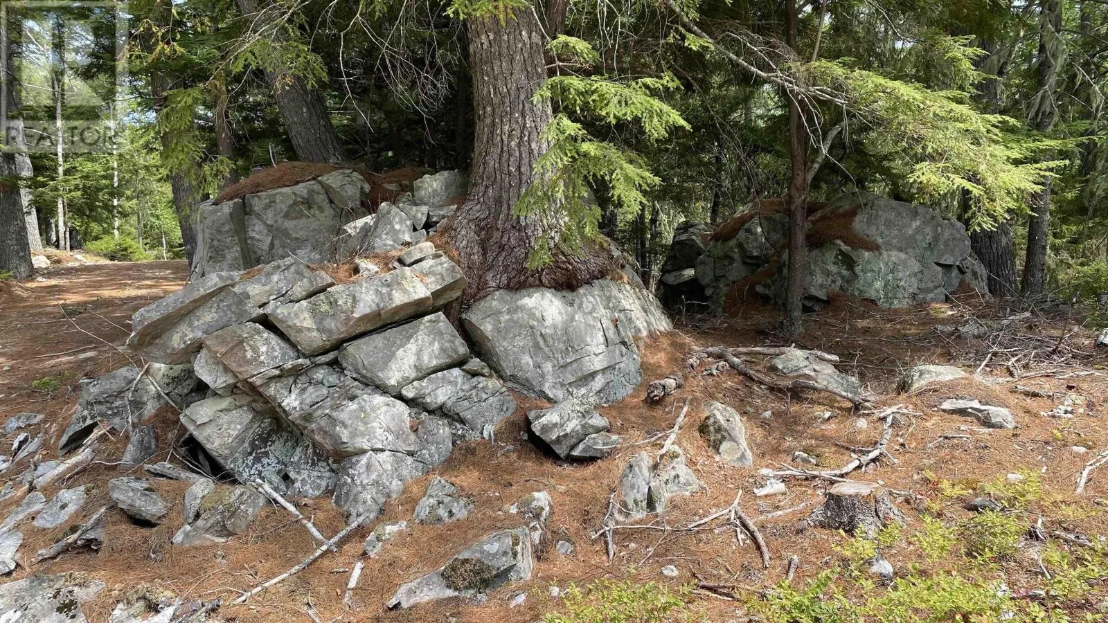 Lot 1 Handley's Point Road