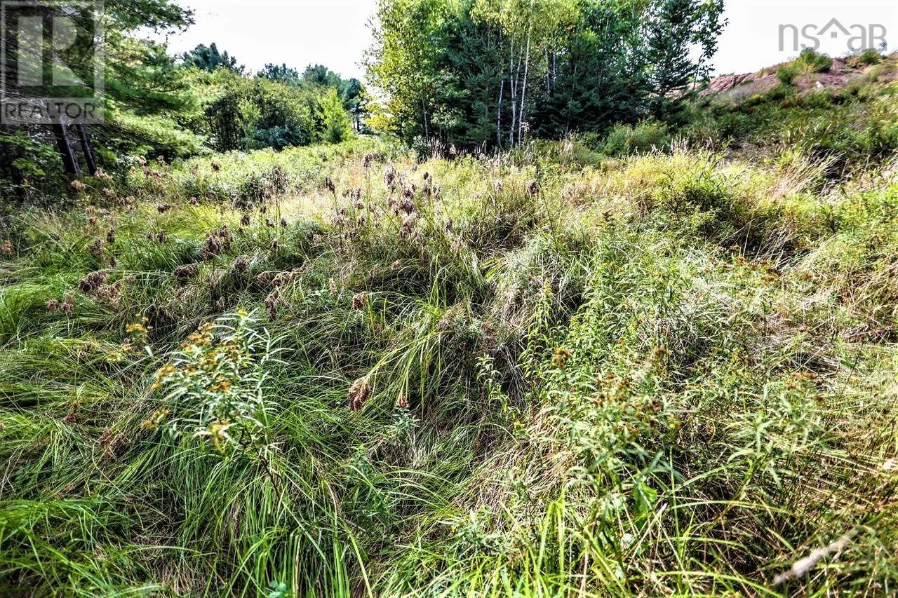 Lot 21-1 & -2 Wye Street