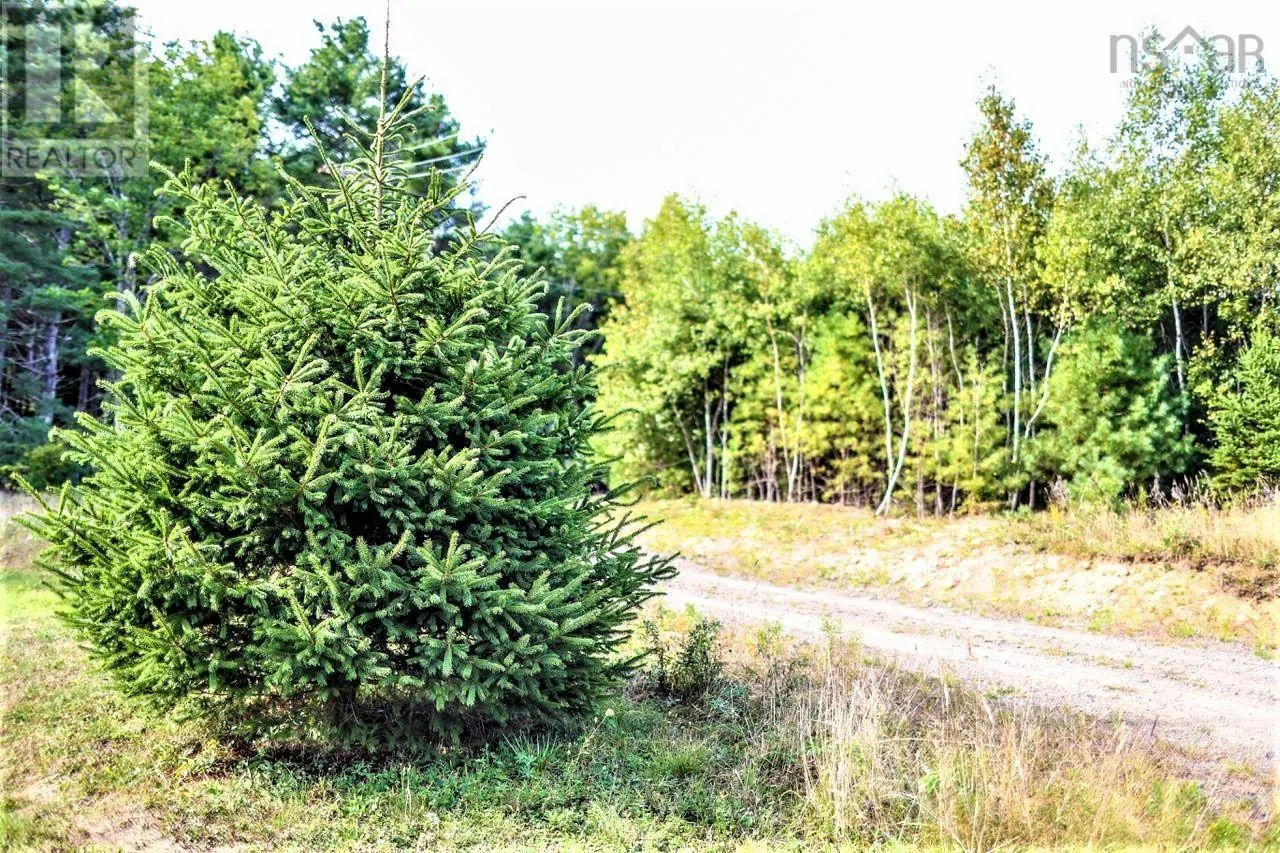 Lot 21-1 & -2 Wye Street