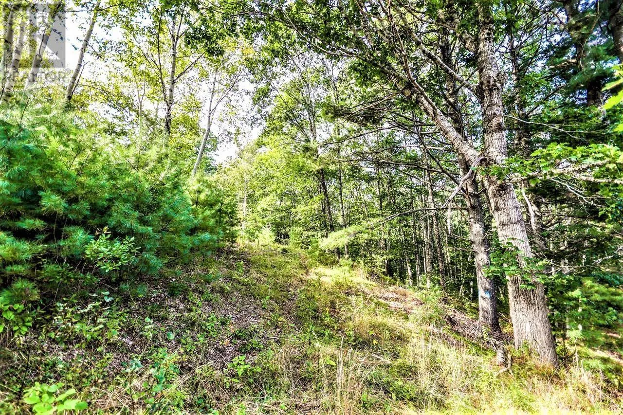 Lot 21-1 & -2 Wye Street