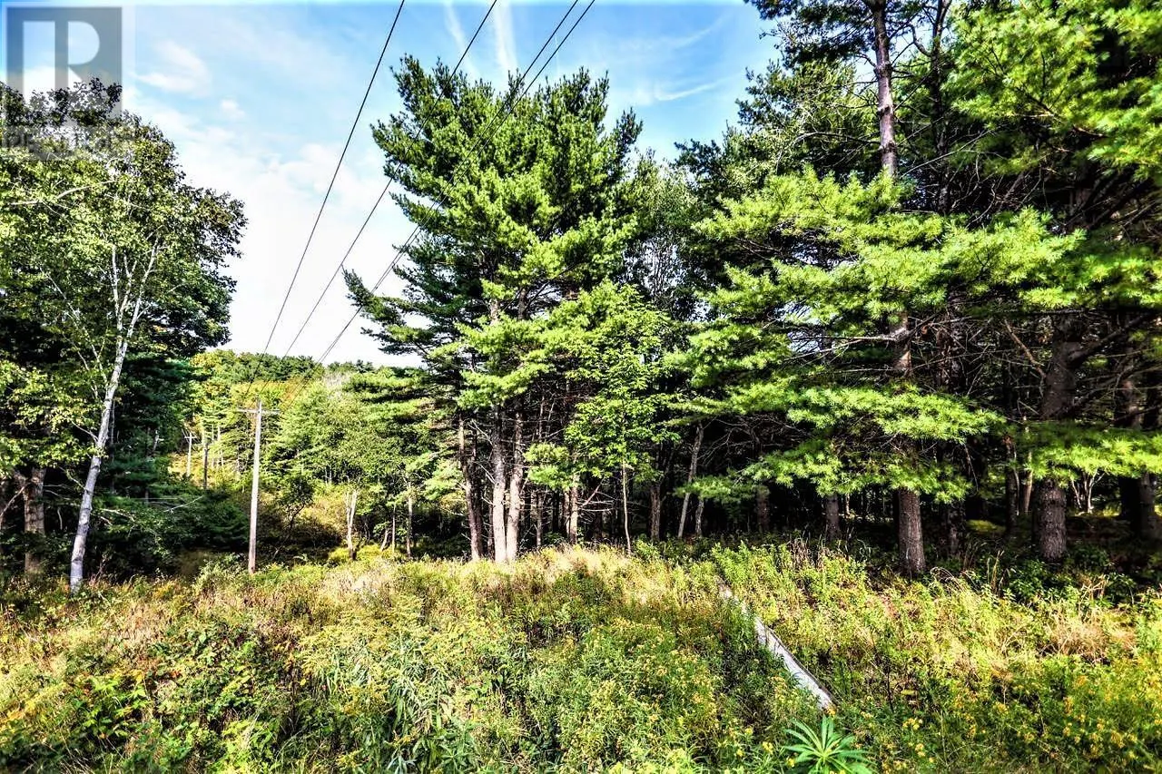 Lot 21-1 & -2 Wye Street