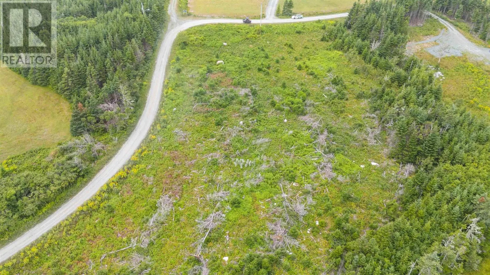 233 Okooda Path