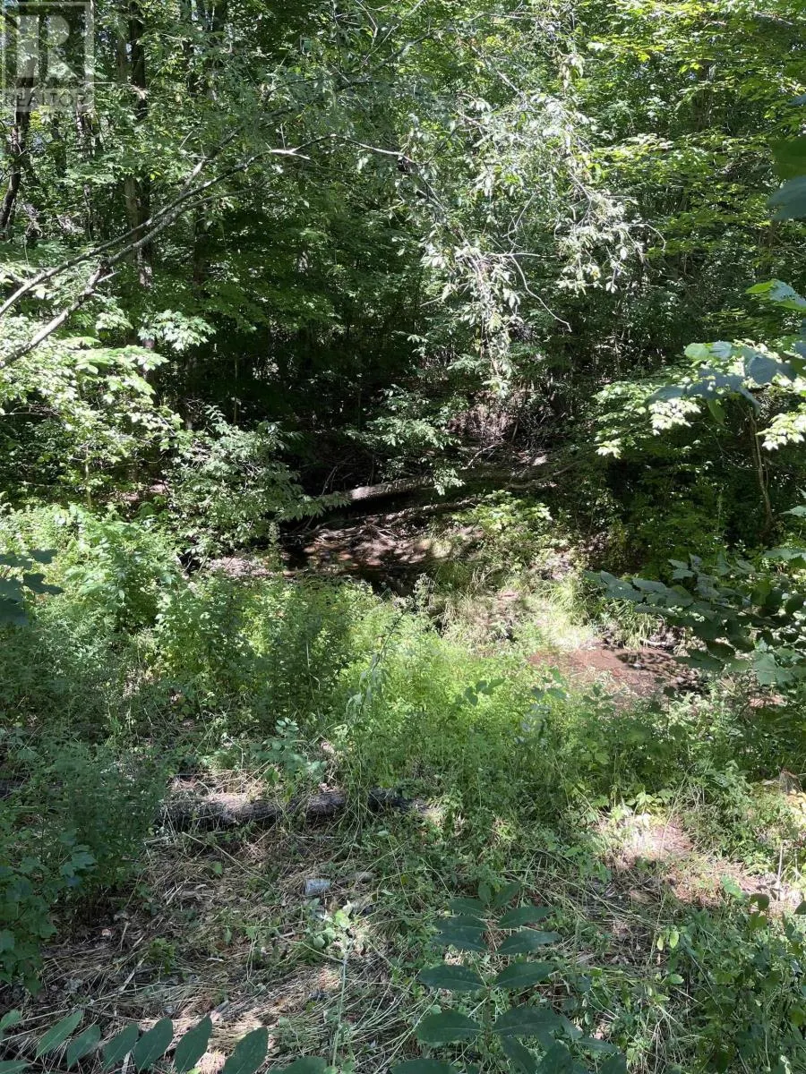 Lot C Ward Road