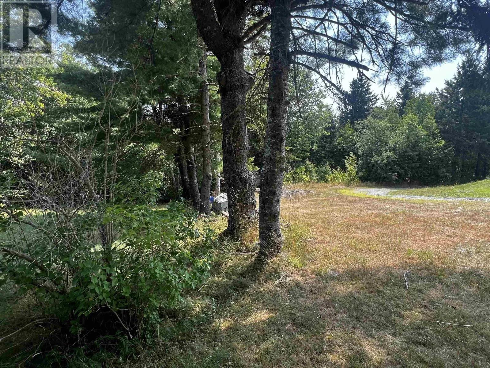 35 shine Drive