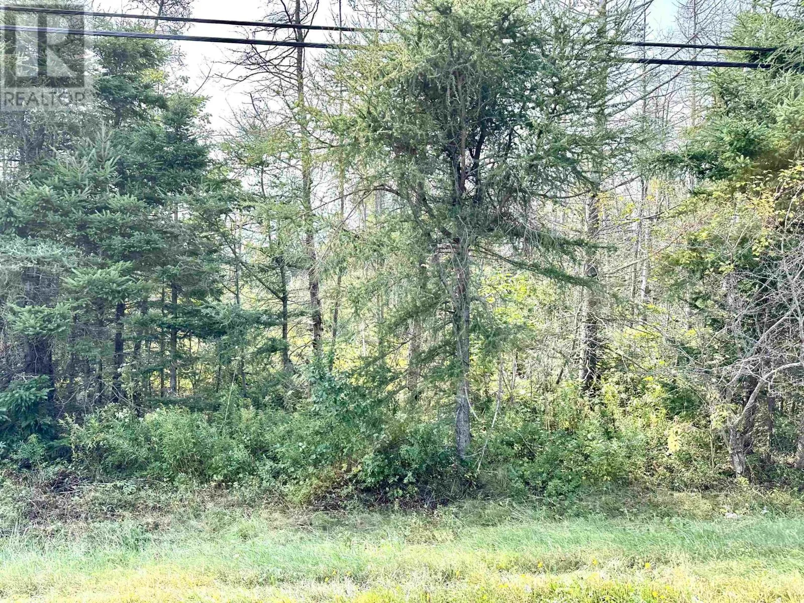 Cape Bear Road|Route 18