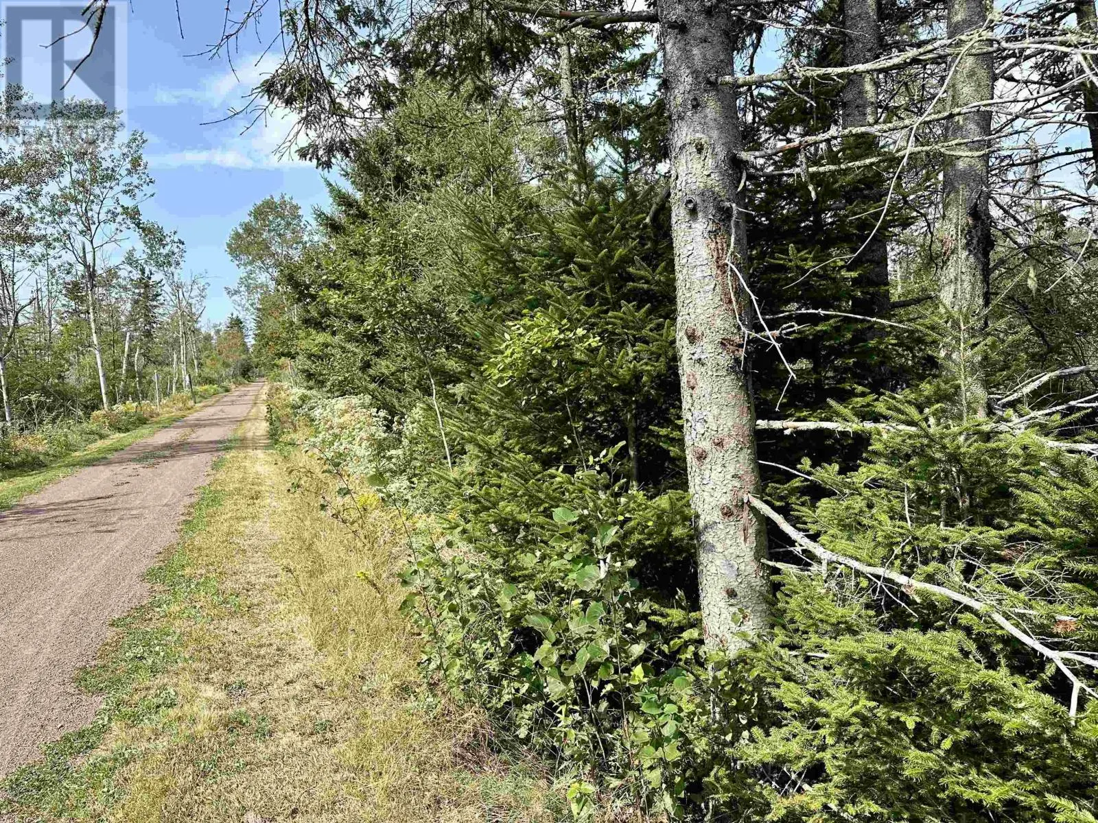 Cape Bear Road|Route 18