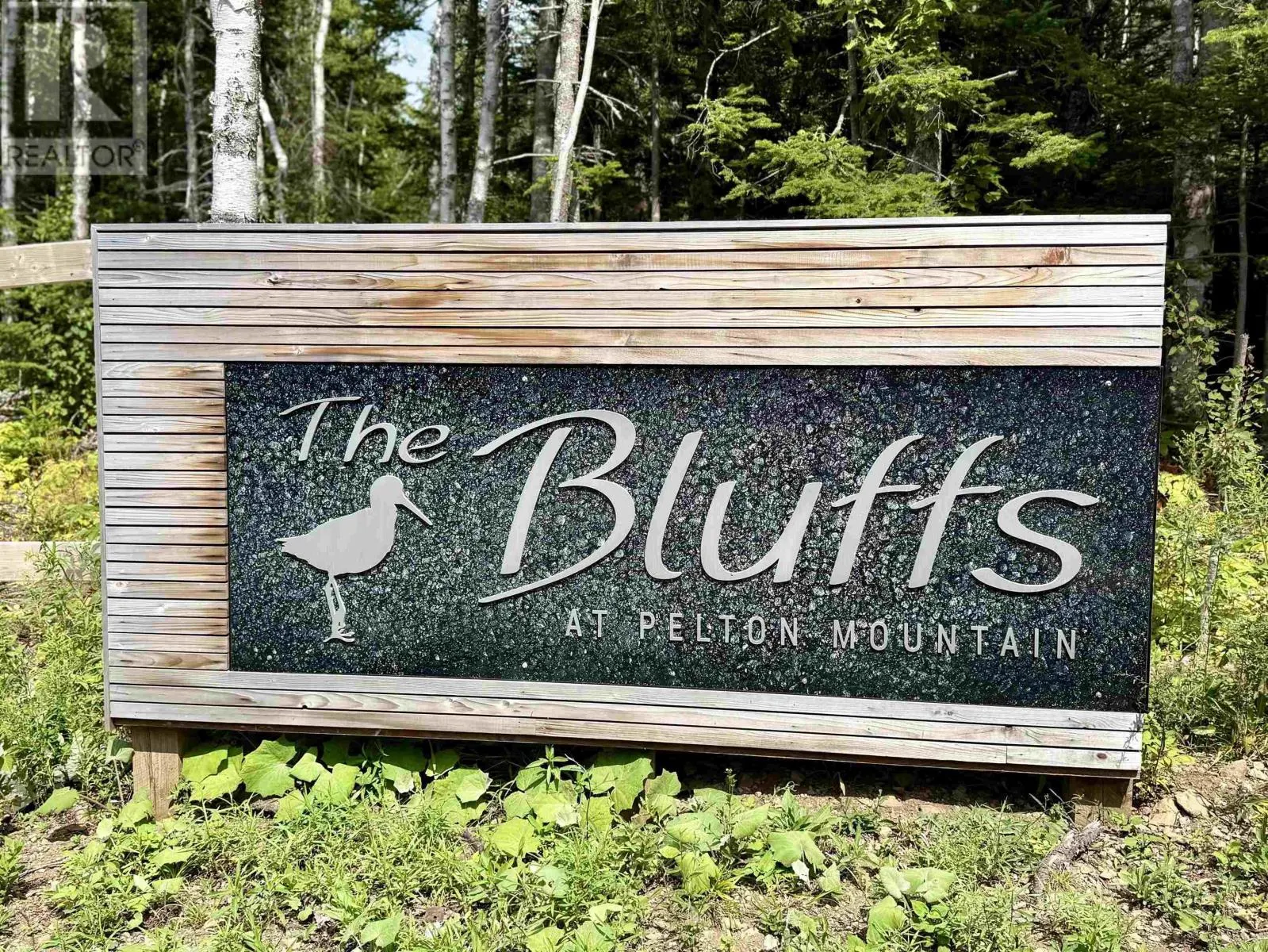 LOT 19 Pelton Mountain Road