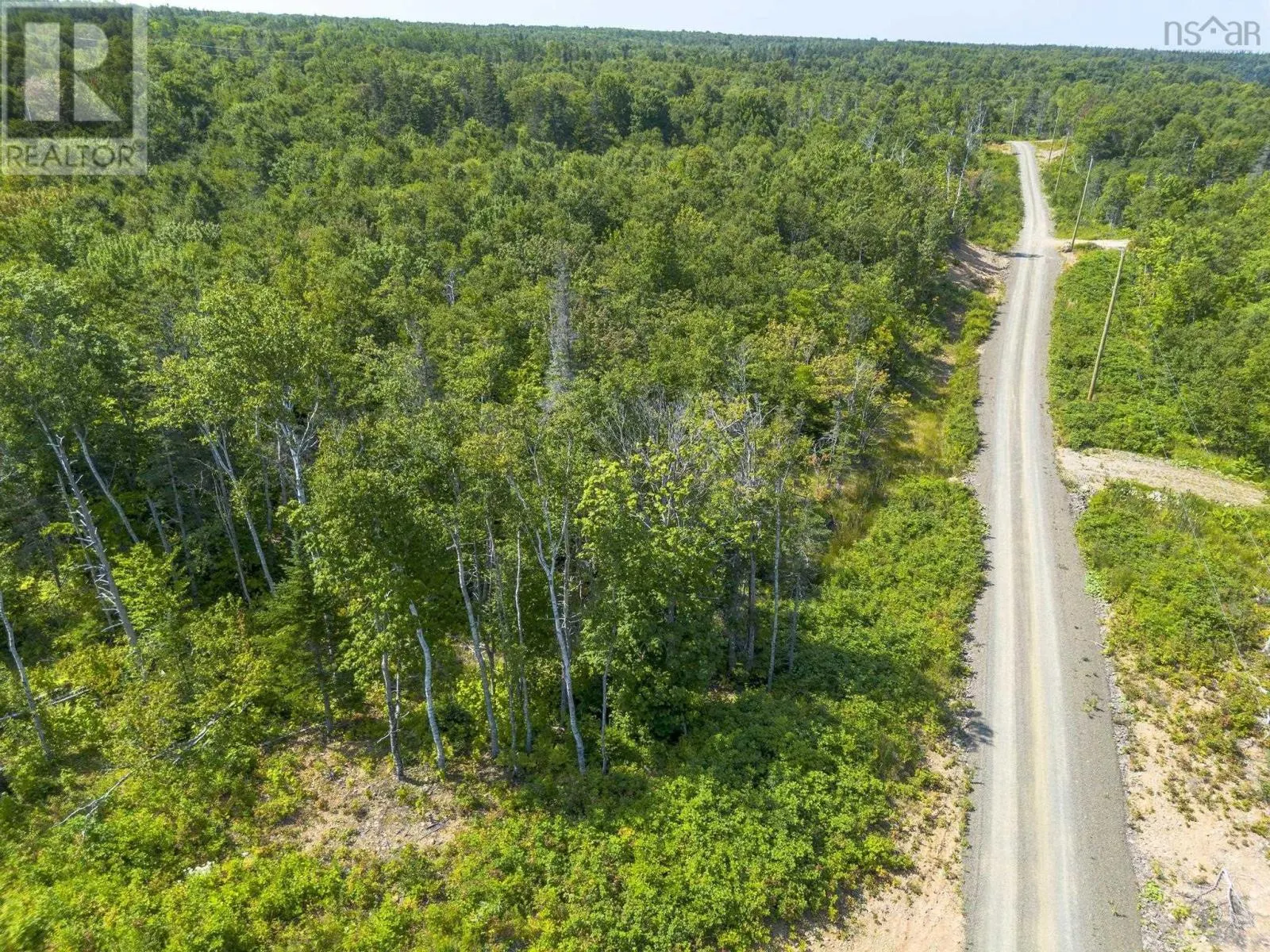 LOT 19 Pelton Mountain Road