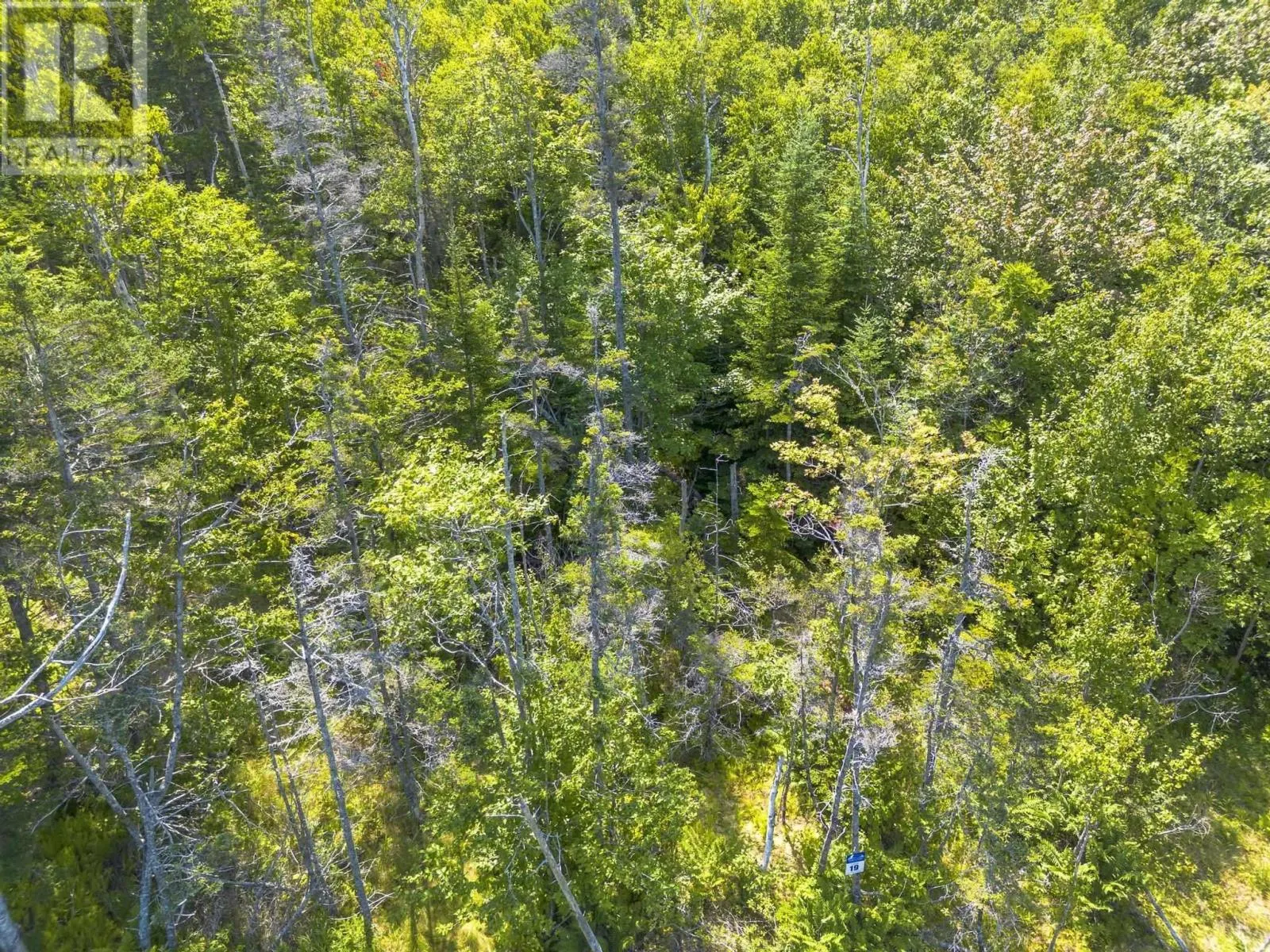 LOT 19 Pelton Mountain Road