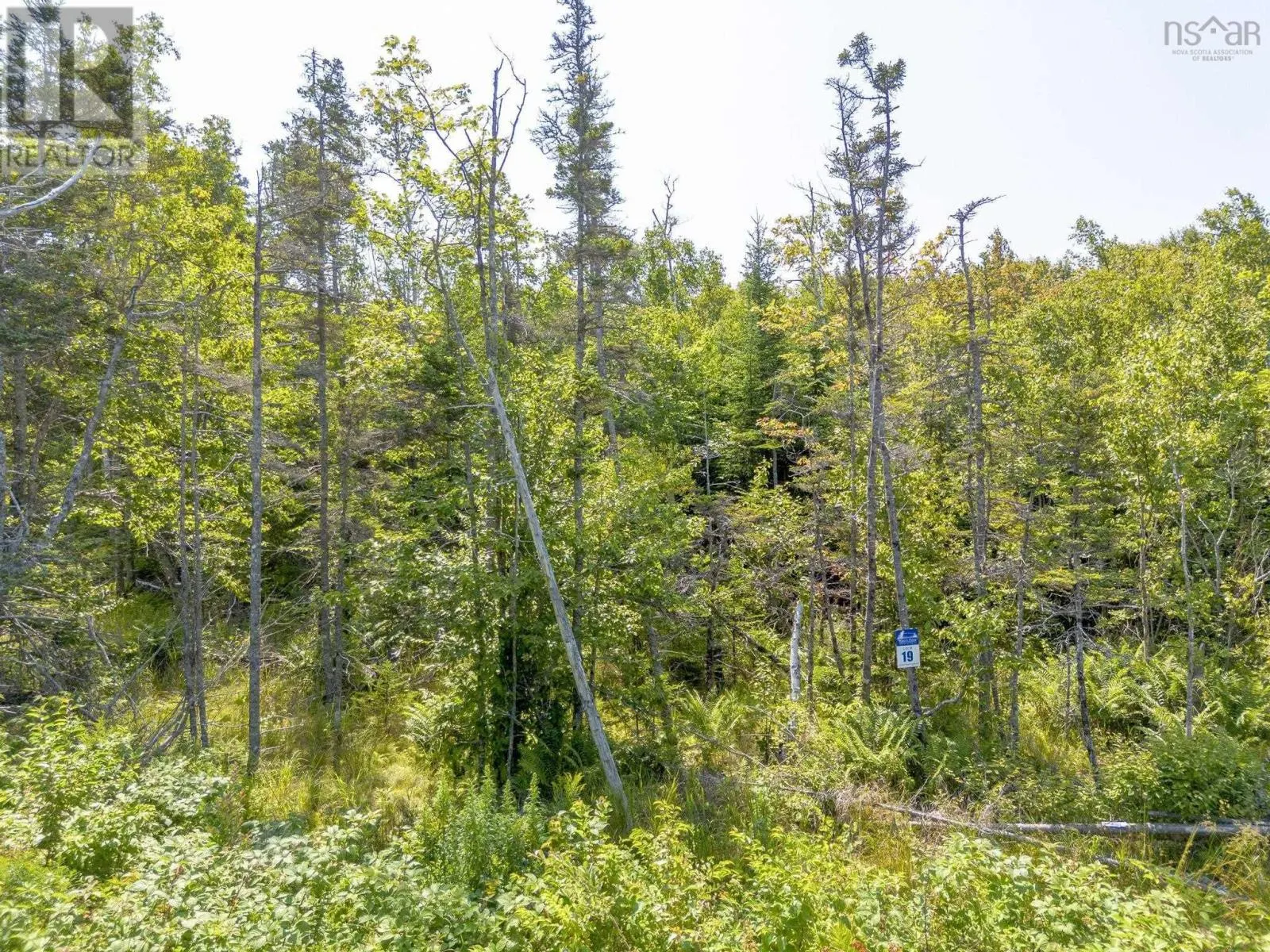 LOT 19 Pelton Mountain Road