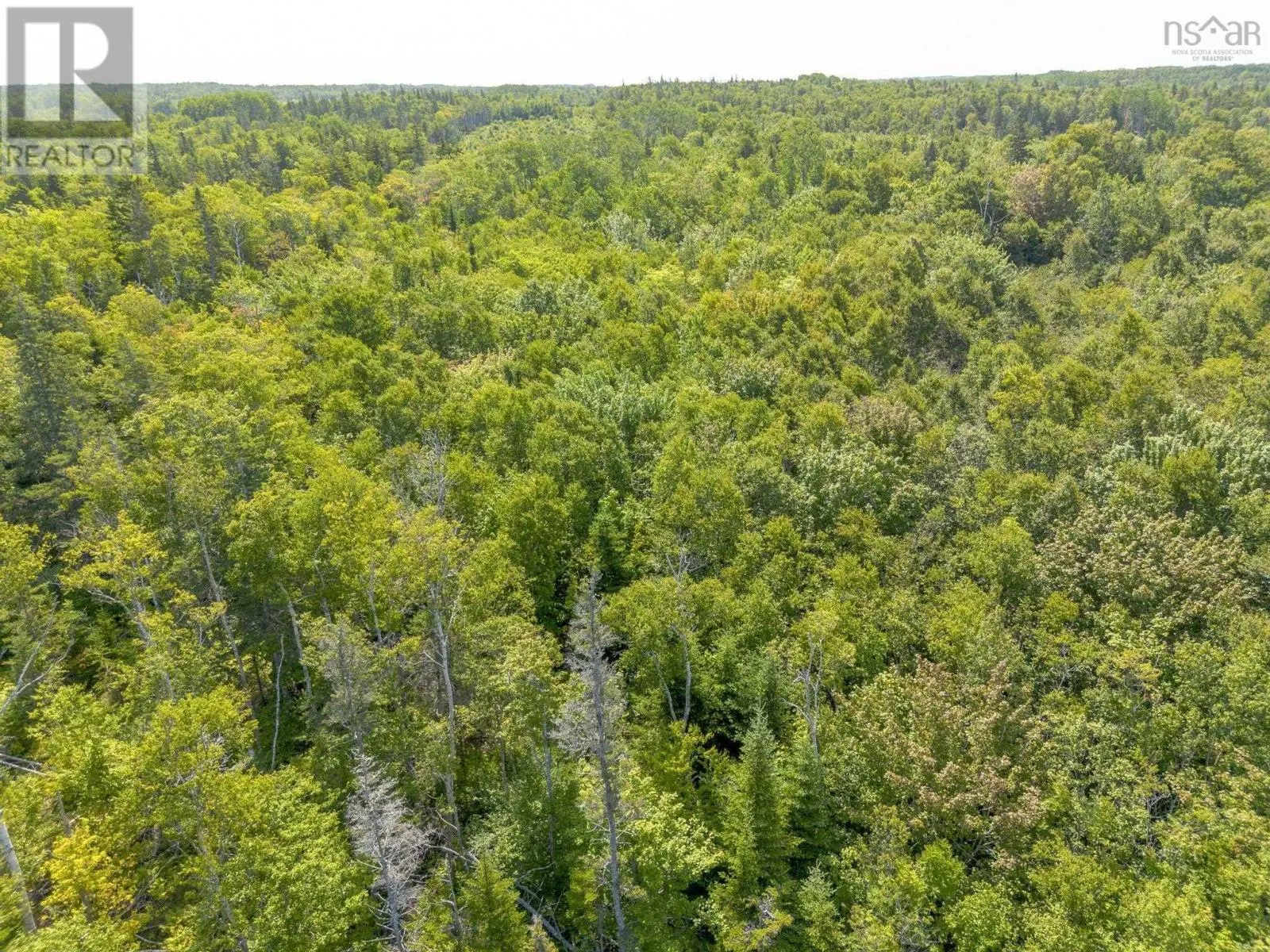 LOT 19 Pelton Mountain Road