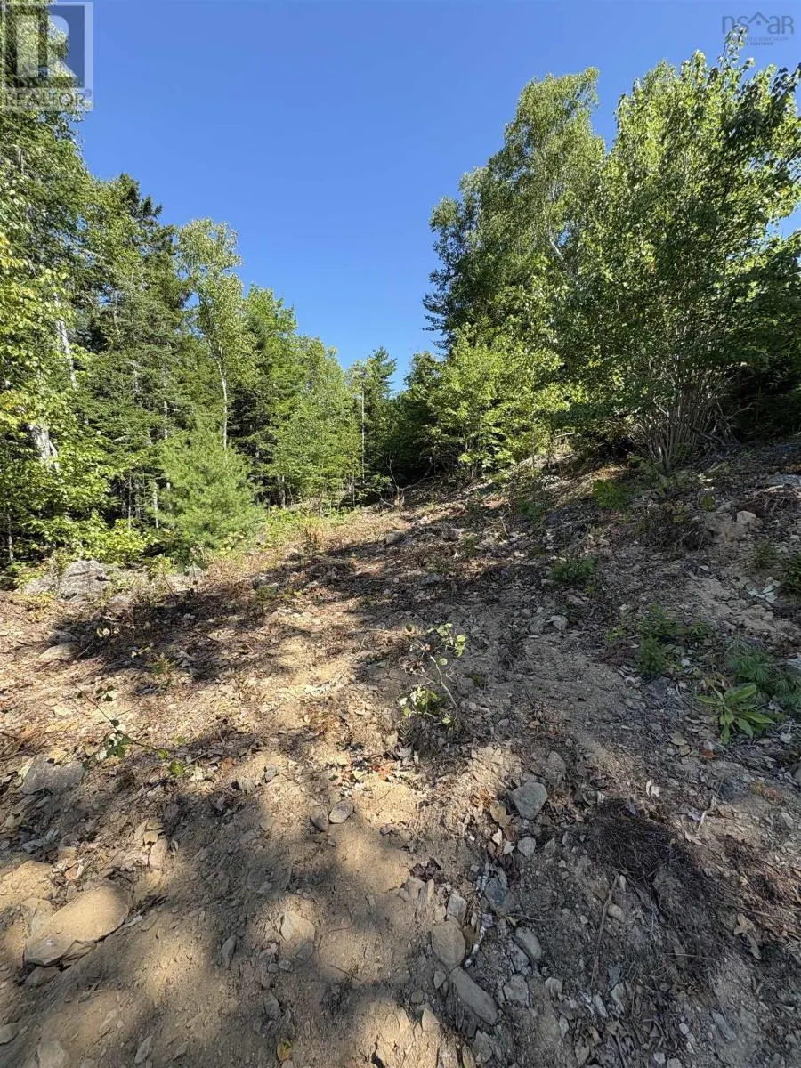 73 Osprey Ridge Road