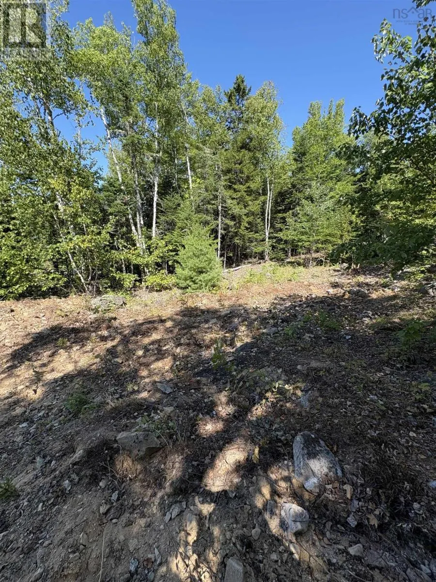 73 Osprey Ridge Road