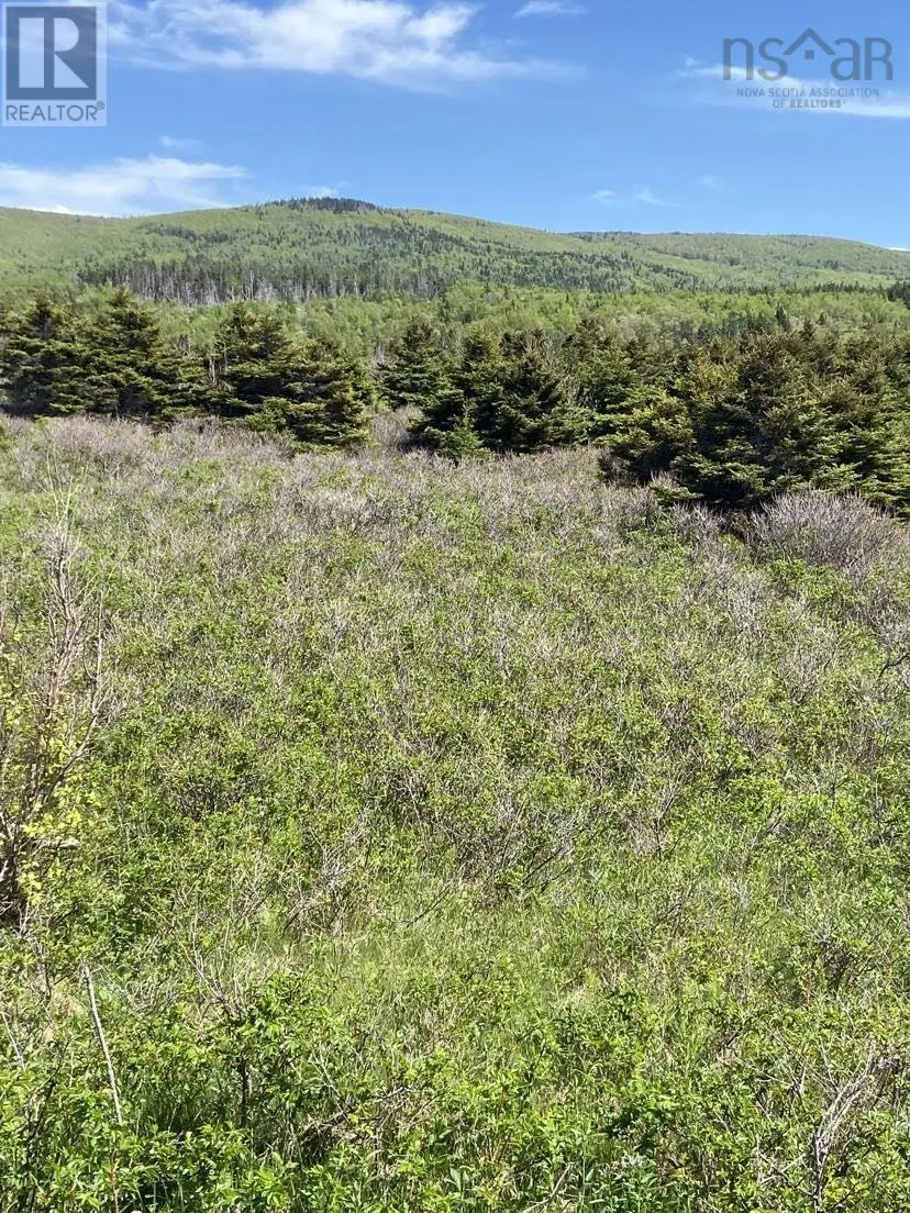 Cabot Trail