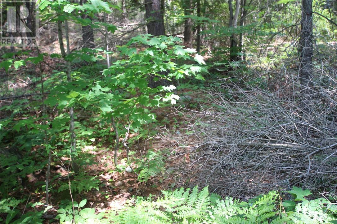 PCL.36512 OFF HORSESHOE LAKE Road