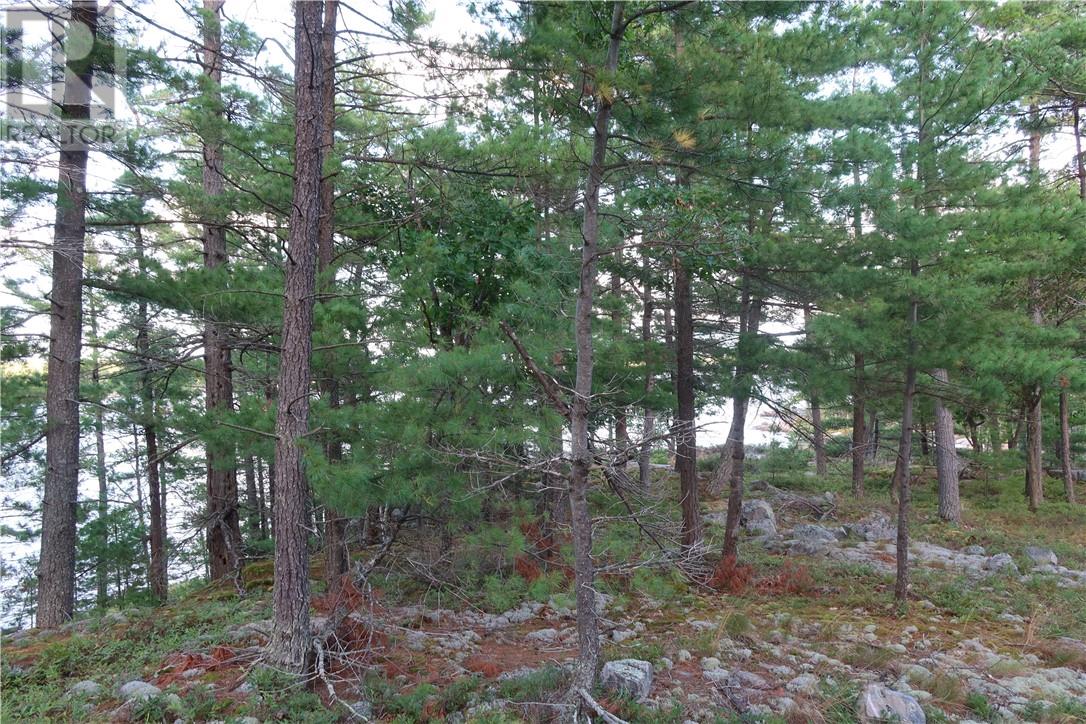 Listing 2107015 - Large Photo # 14