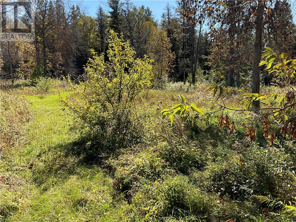 Listing 2108286 - Large Photo # 15
