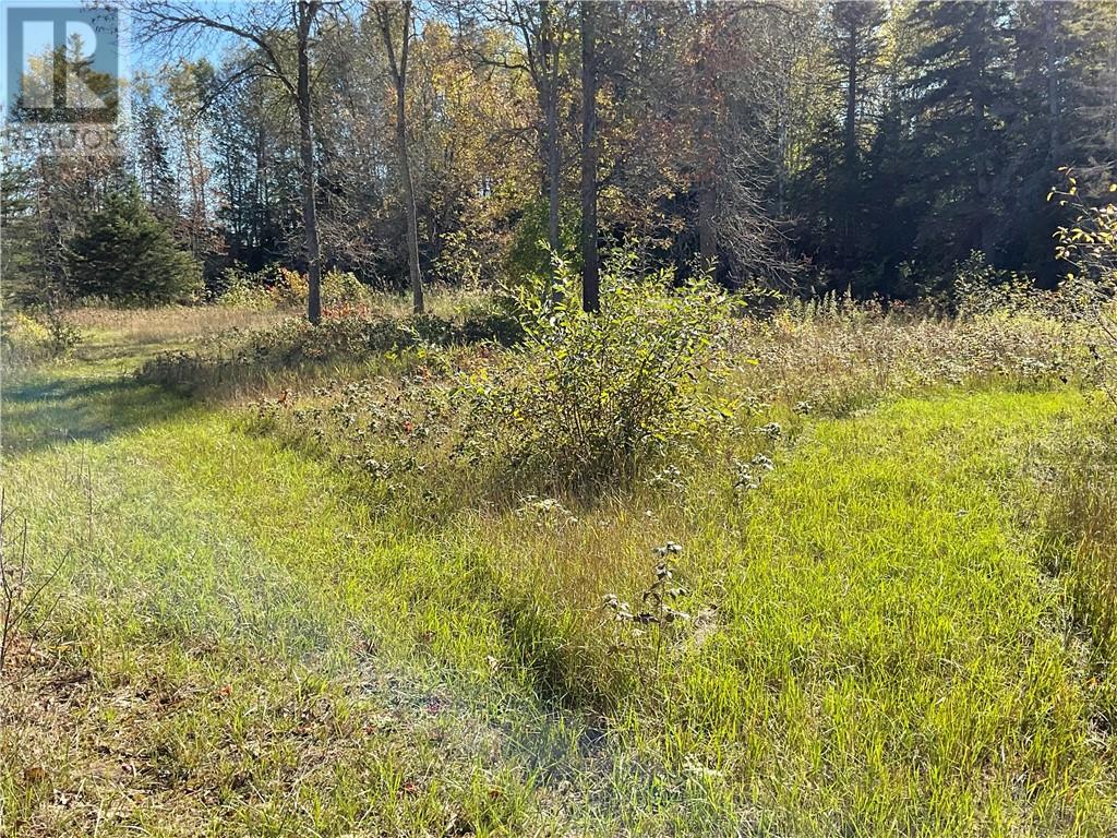 Listing 2108286 - Large Photo # 16