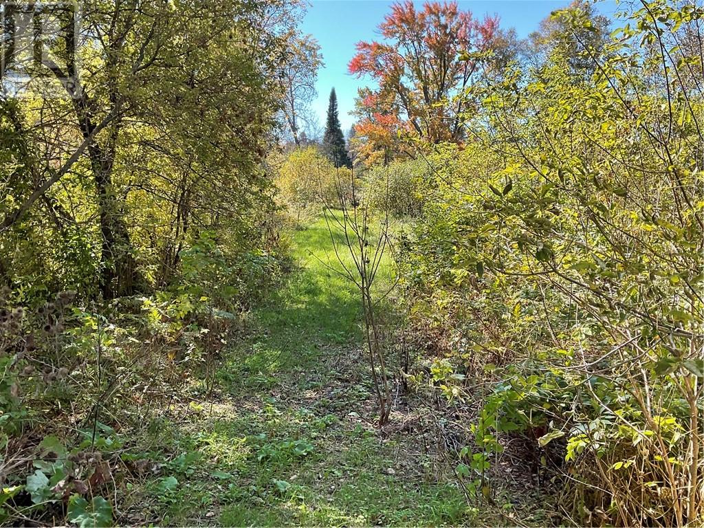 Listing 2108306 - Large Photo # 5