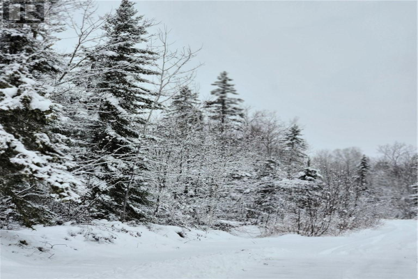 N/A Rabbit Trail, Markstay-Warren