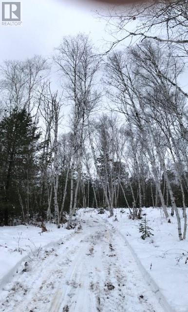 Listing 2109369 - Large Photo # 5