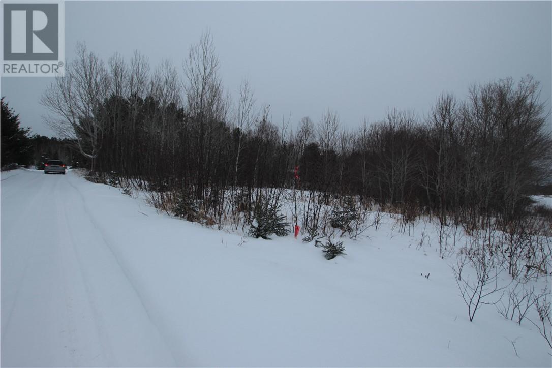 Listing 2109788 - Large Photo # 3