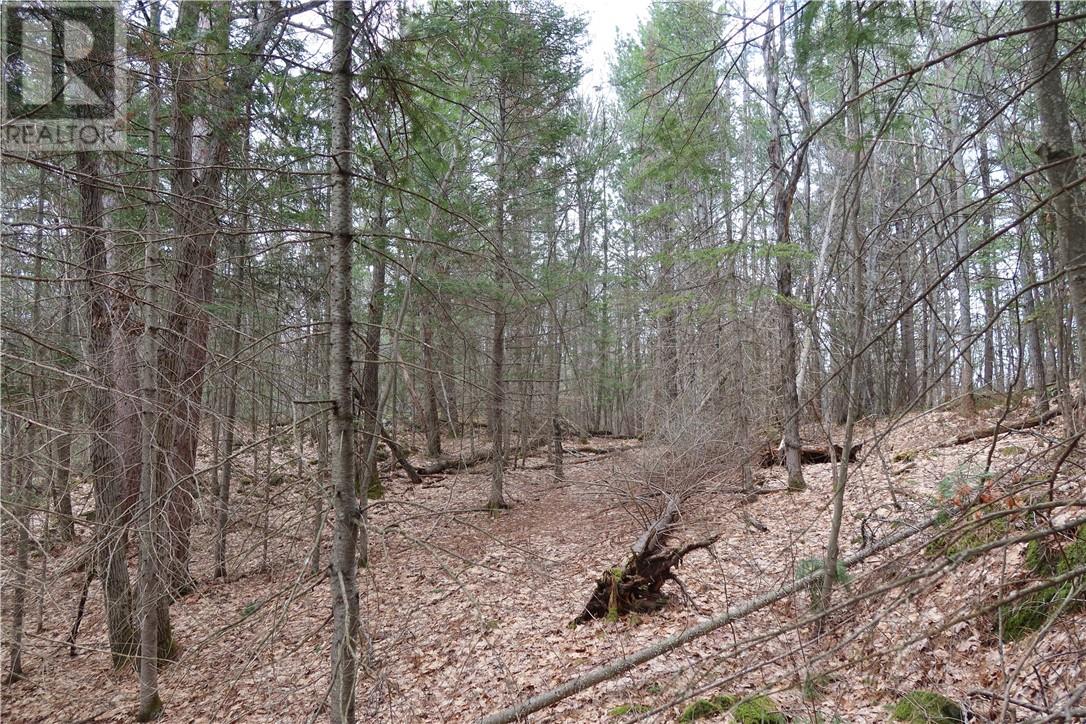 Listing 2109836 - Large Photo # 15