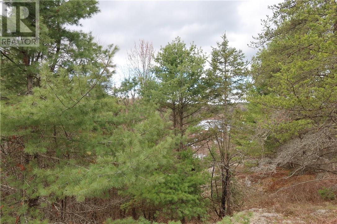 Listing 2109836 - Large Photo # 10
