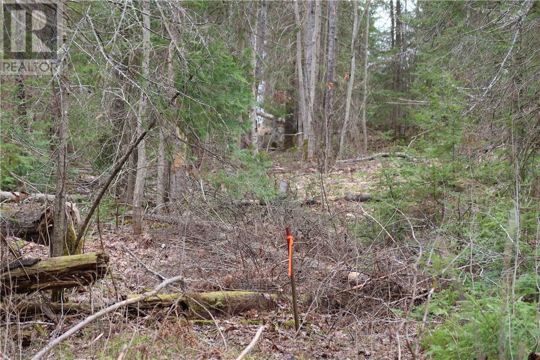 Listing 2109836 - Large Photo # 11