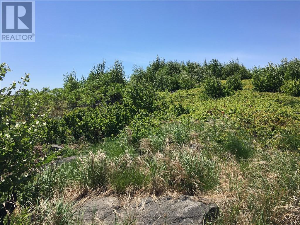 Listing 2109866 - Large Photo # 11