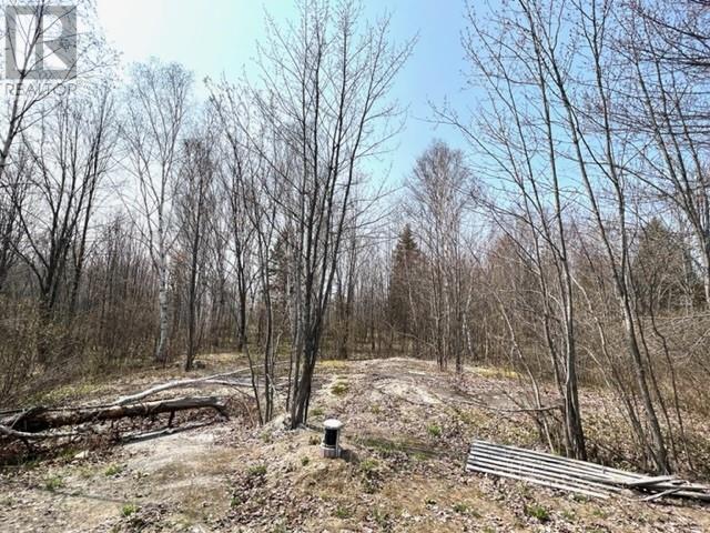 Listing 2109932 - Large Photo # 4