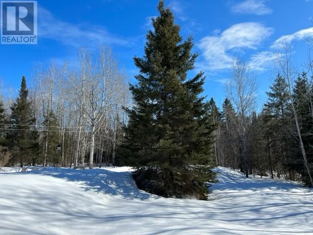 Listing 2110022 - Large Photo # 19