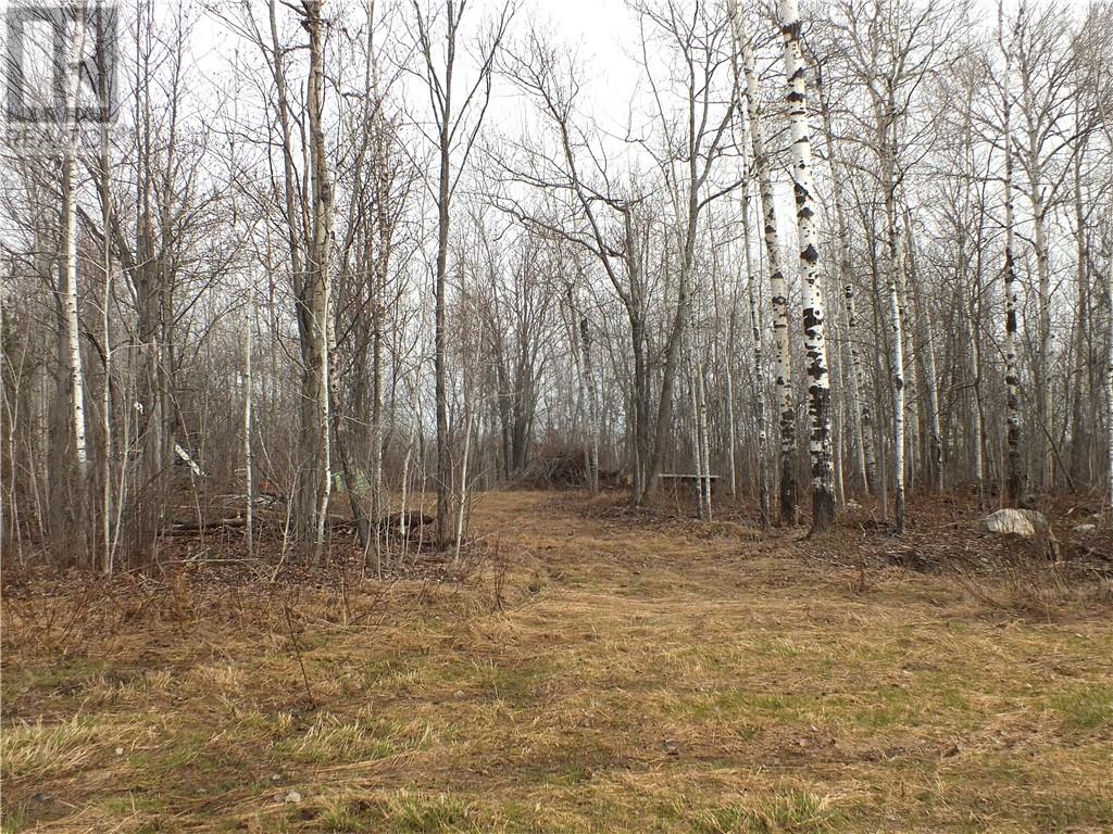 Listing 2110635 - Large Photo # 4