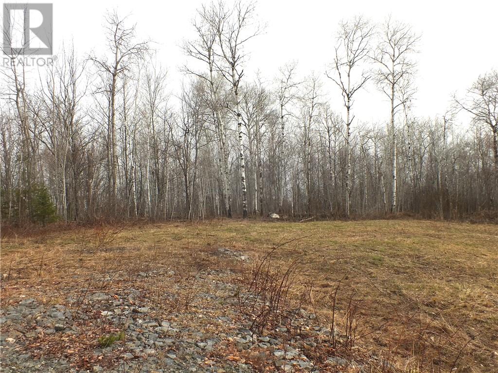 Listing 2110635 - Large Photo # 3