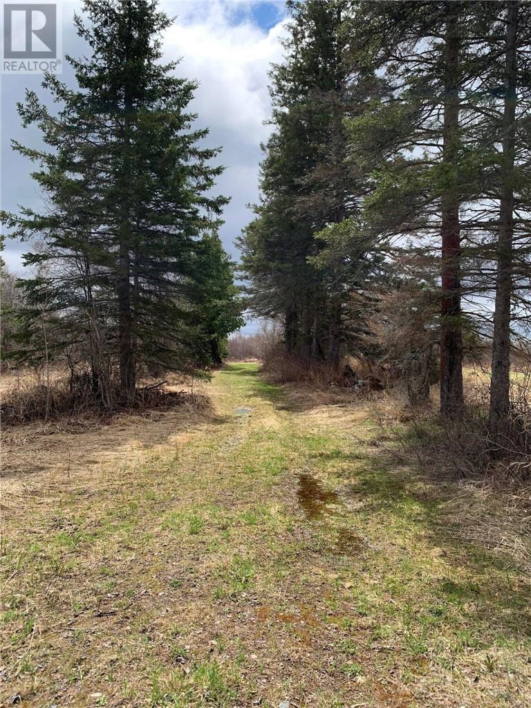 Listing 2110781 - Large Photo # 4