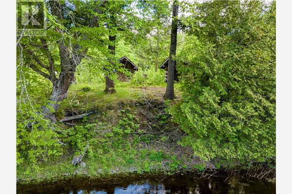 Lot 6 Mississagi River, Iron Bridge