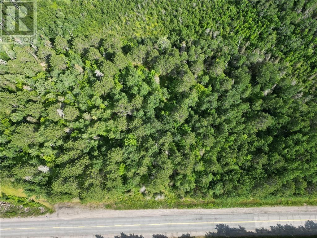 Part 1 Part of Lot 2, Concession 5, Township of Louise