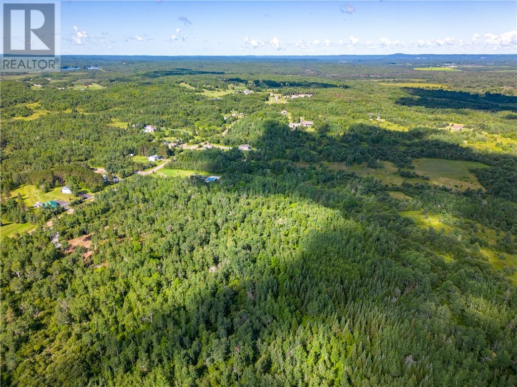 Listing 2112414 - Large Photo # 10