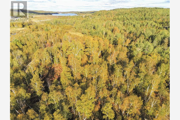 0 Potvin, 0 Southlane and 4437 Hwy 69 South, Sudbury