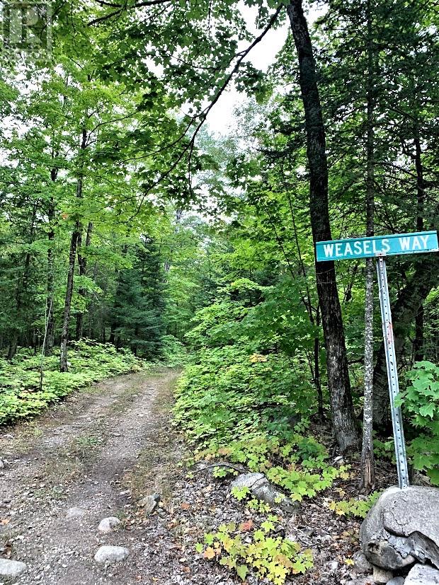 PL28&27C1 Allan Cyrus Line