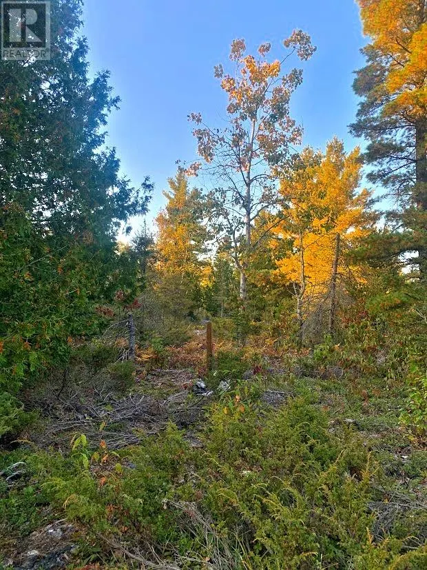 L17C8 Evergreen Drive