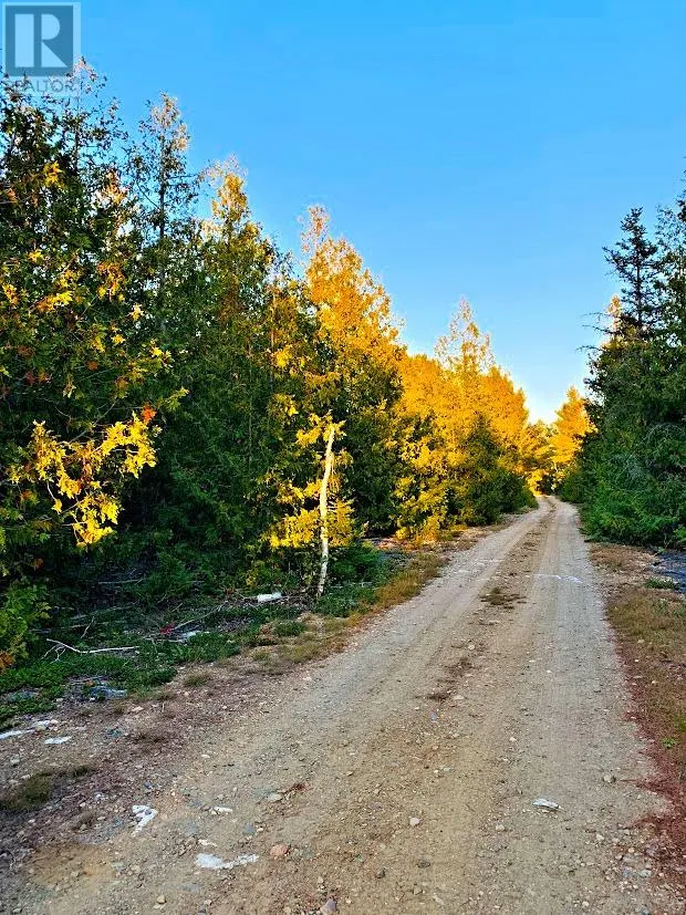 L17C8 Evergreen Drive