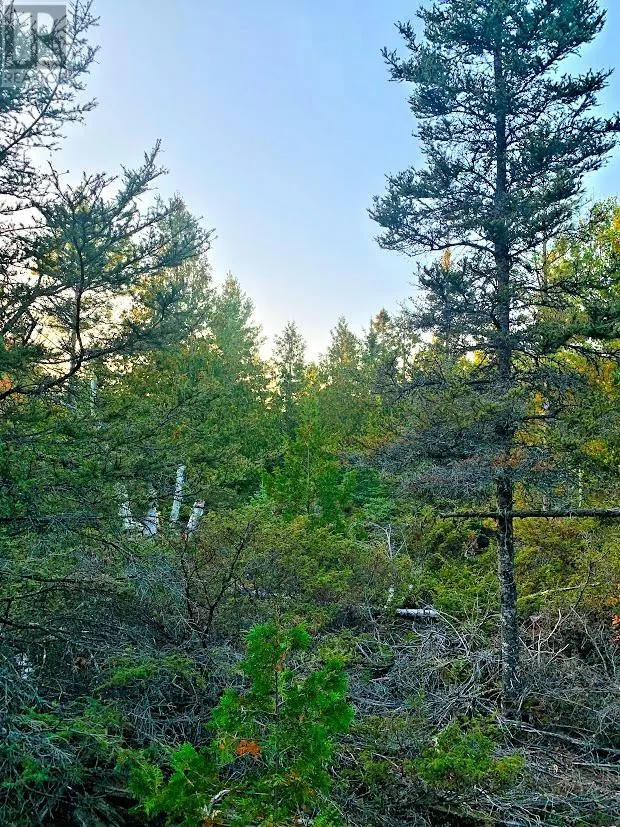 L17C8 Evergreen Drive