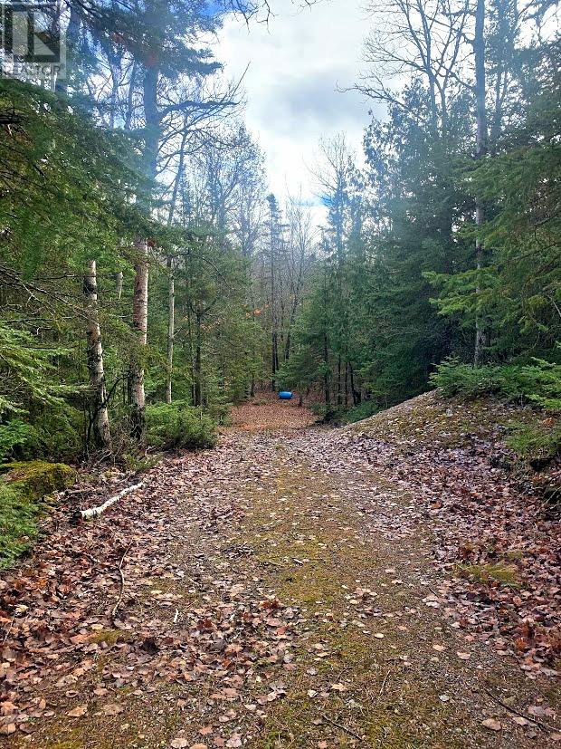 185 Baker Trail