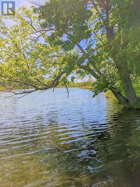 Third Lot Beach South Road